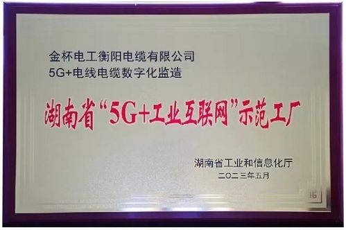 七年磨一剑 金杯电缆获评湖南省 5g 工业互联网 示范工厂