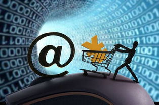 巨头竞相布局 互联网保险发展提速