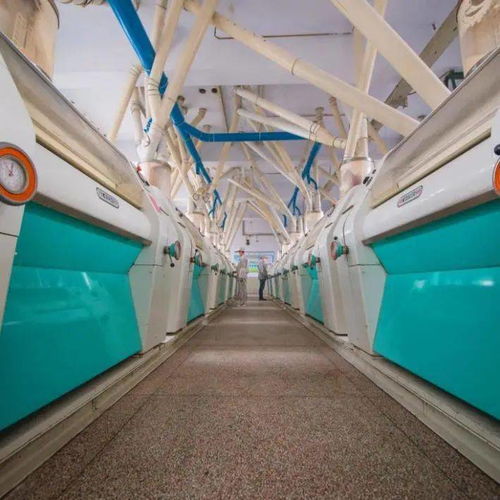 喜讯 省级特色优势食品产业强镇 特色优质食品,我市新增2项省级食品工业荣誉