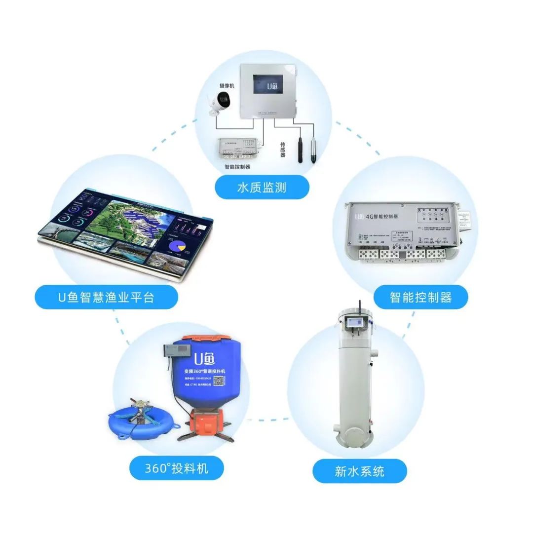 养殖设备免费送？互联网技术如何重塑养殖设施行业新格局
